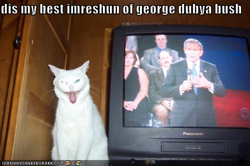 funny-pictures-cat-george-bush-impression.jpg