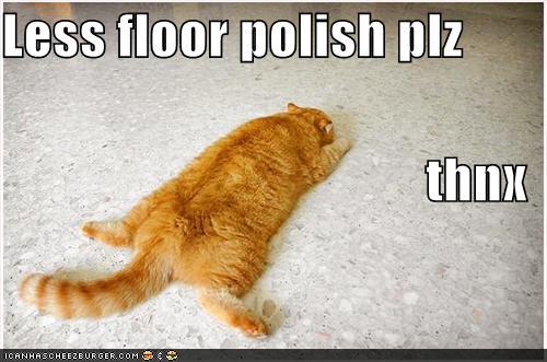 funny-pictures-orange-cat-floor-polish.jpg