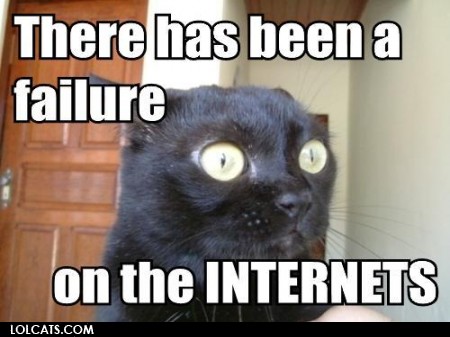 internet-cat-lolcat-courtesy-tonyalmeida.jpg