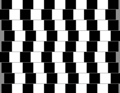 optical ilusions twin
