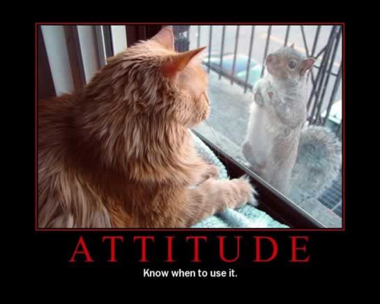 1168705855-attitude.b.jpg