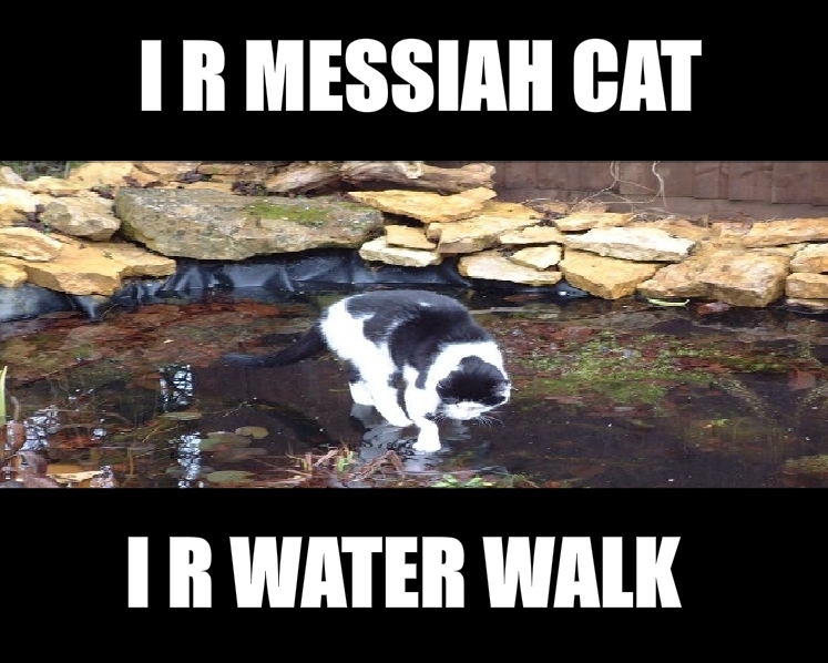 1183460173457.jpg