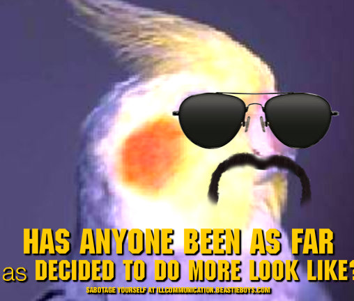 1248589435636.jpg