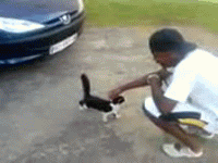1264266303747.gif