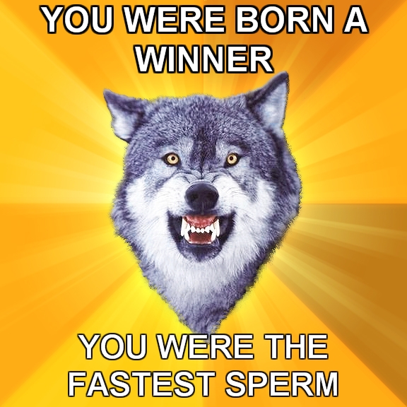 1264748145515.jpg