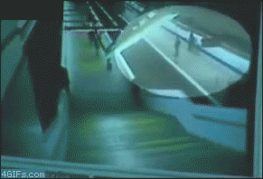 1265048151133.gif