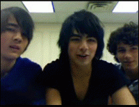 1267482545531.gif