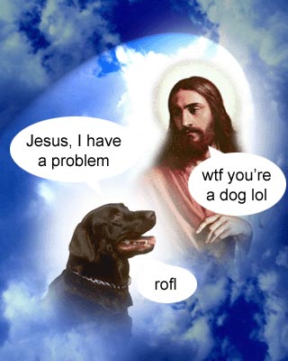 1269775073739.jpg