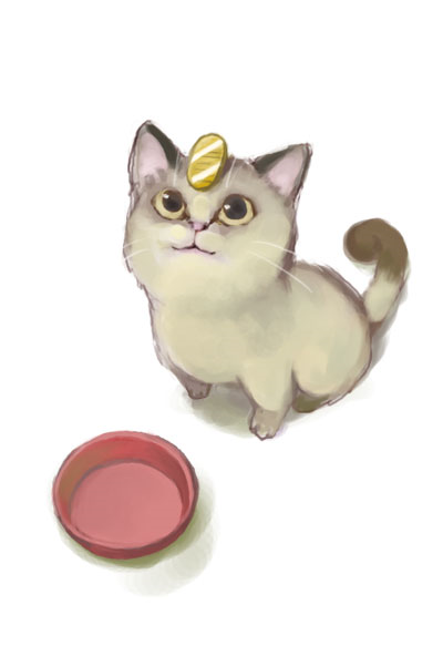 1269982405564.png
