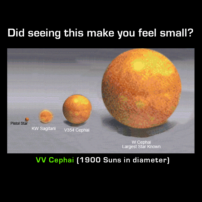 1270756260015.gif