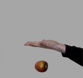 1271020448222.gif