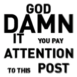 1271038125271.jpg