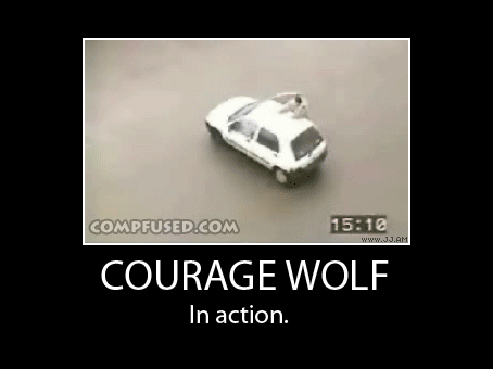 1271215978581.gif