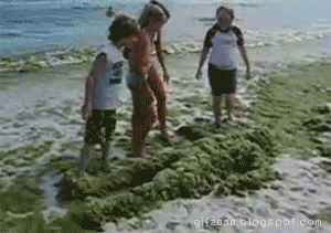 1274548659048.gif