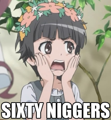 1281939143374.jpg