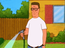 1283670001886.gif