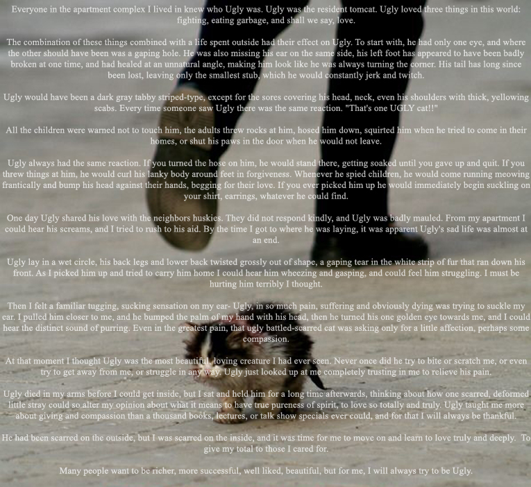1284168912038.jpg
