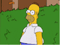 1316188733117.gif