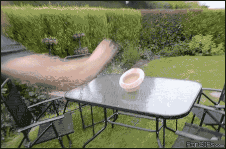 1332608082513.gif