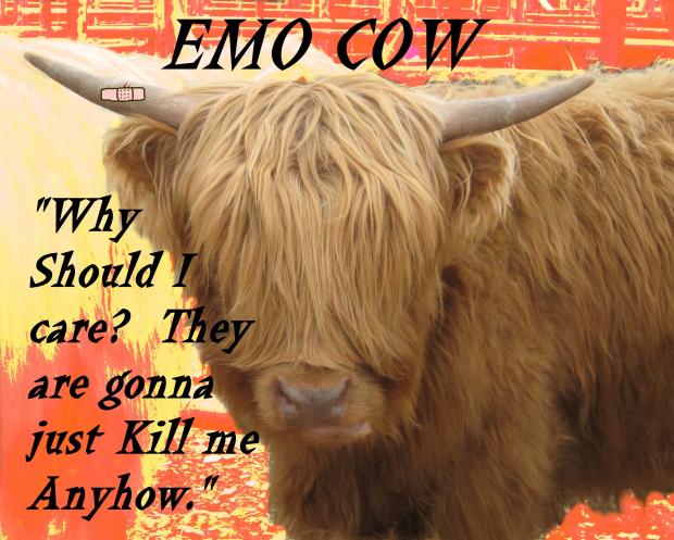 149117_Emo-Cow_620.jpg