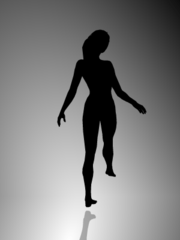 180px-Spinning_Dancer.gif
