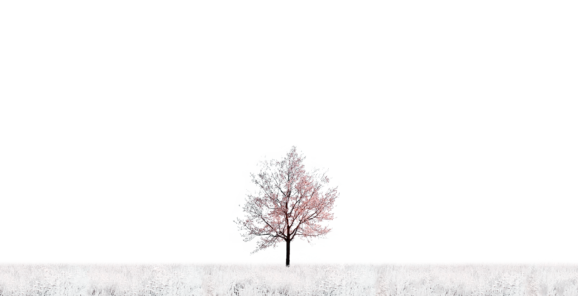 2fplajey.png