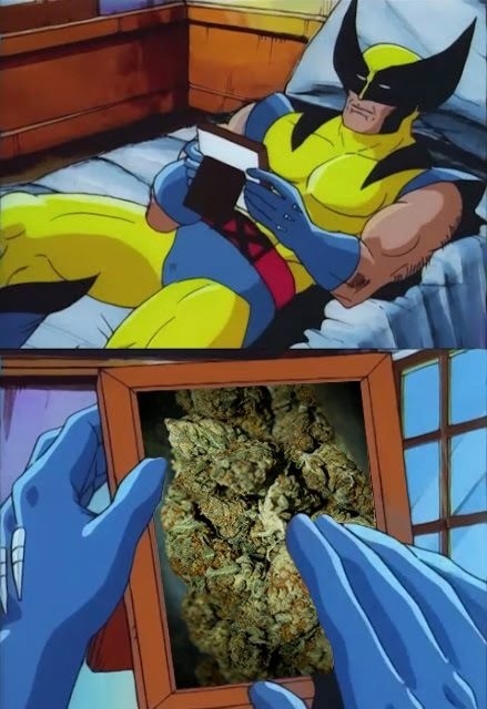2s1aXTQ[2].jpg