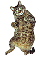 3696757249_d353f90a53_o.gif