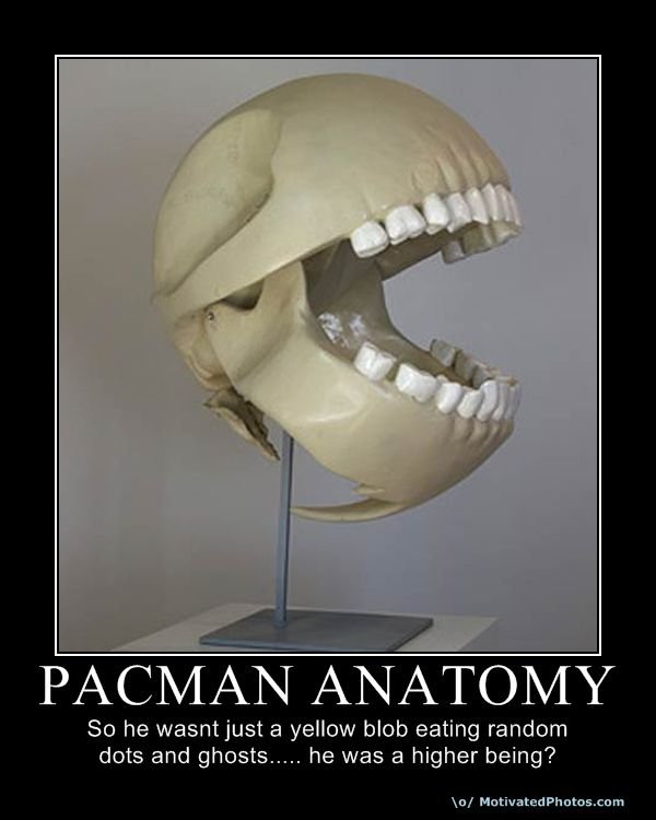 633760764295211800_pacmananatomy.jpg.jpg