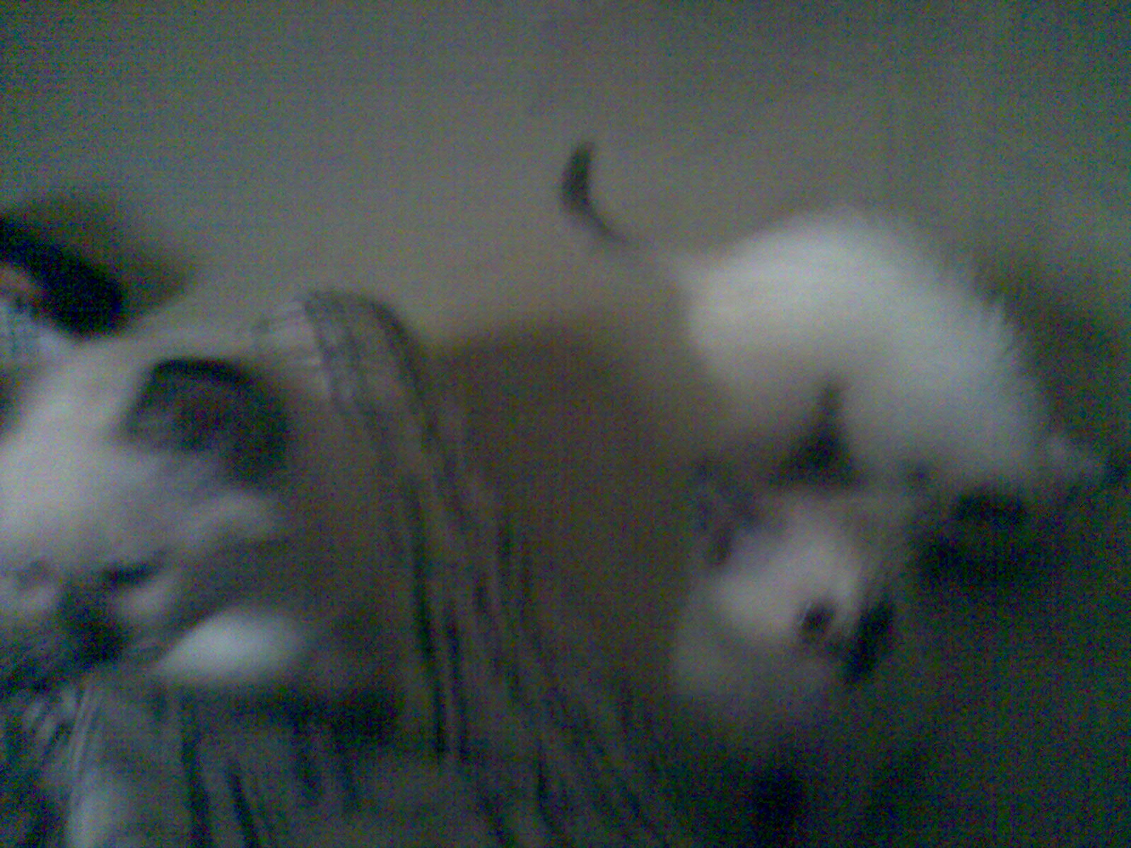 صورة009.jpg
