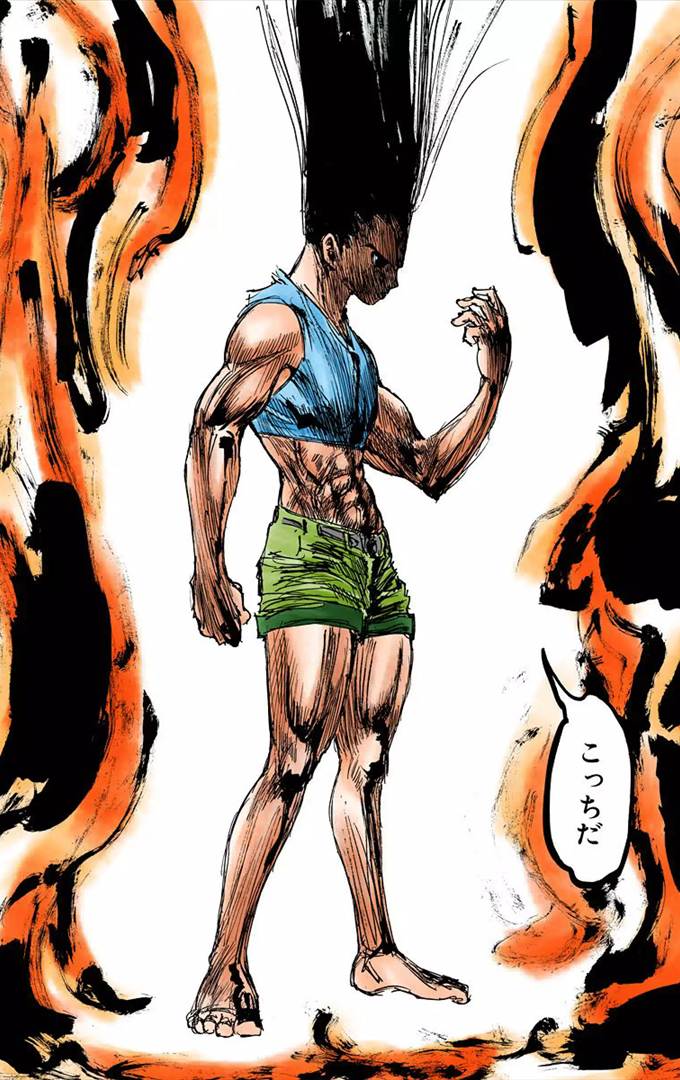 Adult_Gon_HXH_volume_29_colored.png
