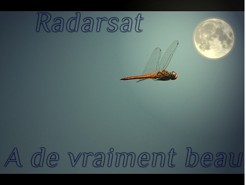 Album Cover.png