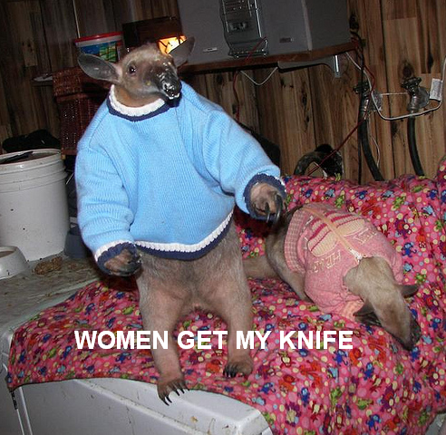 Anteater51[1].png
