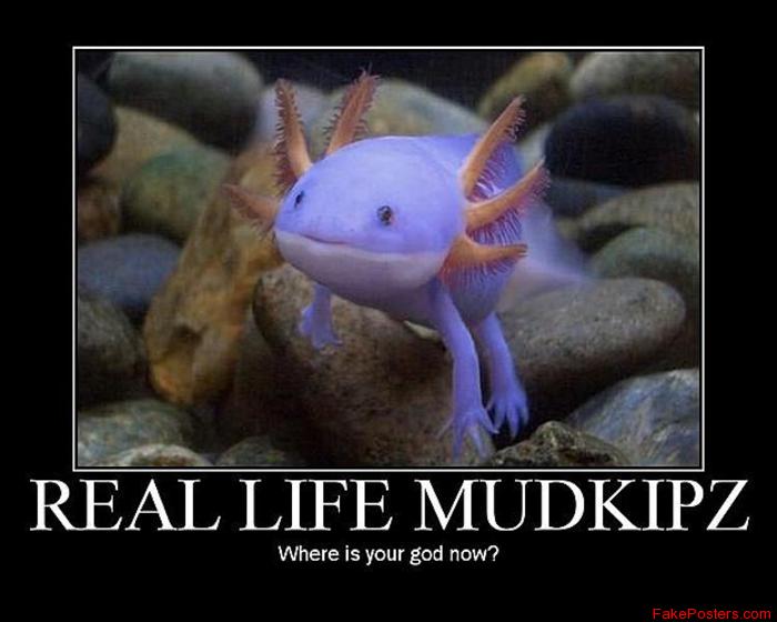 axolotl.jpg