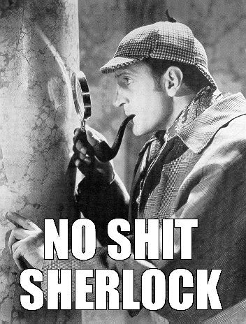BasTaart-NoShitSherlock.jpg