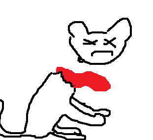 ben's cat.png