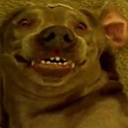 bffed8c8d5abc7e3919909d96f3b6fe3f222c90f_full.jpg