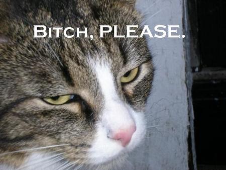 bitch-please_1__104.jpg