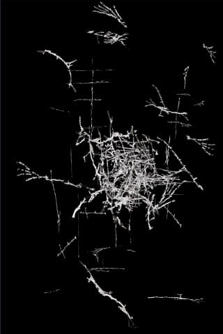 broken_1[1].jpg