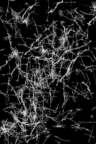 broken_2[1].jpg