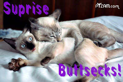 Buttsecks.jpg