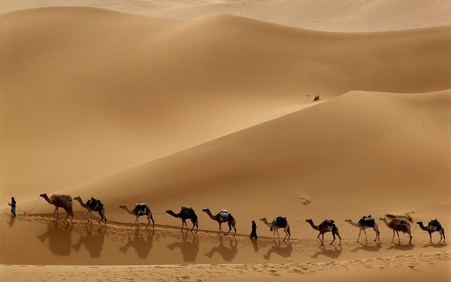Camel-Caravan-Libya.jpg