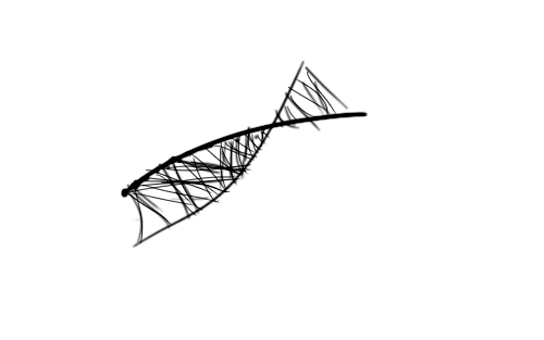 cef.png
