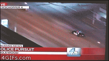 chase.gif