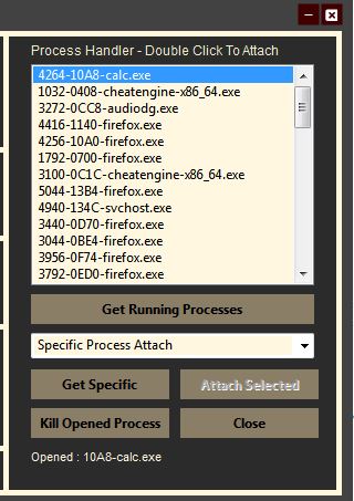 CRDR Specific Processlist.JPG