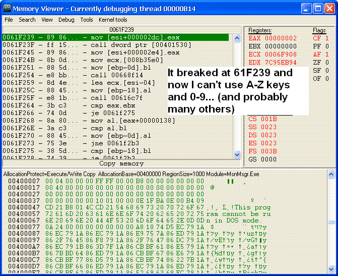 debug.GIF