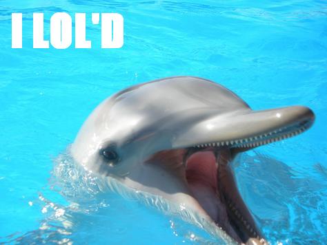 derp.JPG