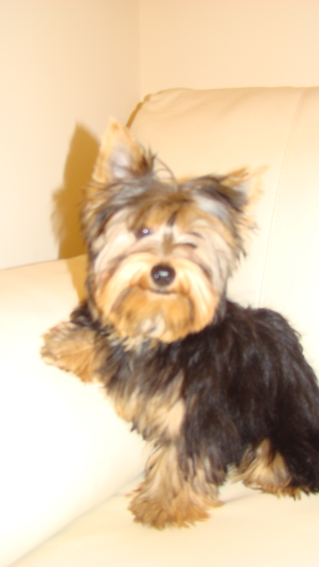 DSC01979.JPG
