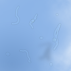 floaties.png