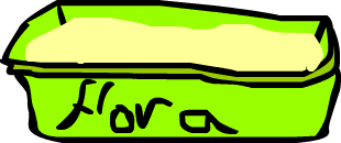 FLORA.png